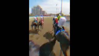 Worst edit ever holy cow alyscoffeeguy horseracing [upl. by Areta]