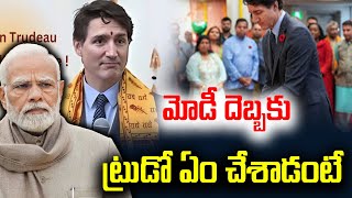 మోడీ దెబ్బకు  ట్రుడో ఏం చేశాడంటే What did Trudeau do to hit ModiMODITruedoPoliticalvoice [upl. by Markiv]