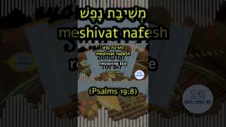 Simchat Torah 5 of 10 Torat Hashem Temima Israel Learn Hebrew Bible and Timeless Jewish Prayers [upl. by Ellierim]