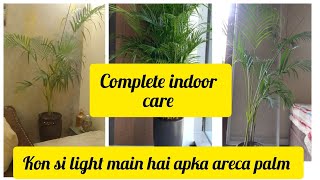 Areca Palm Complete CareIndoor Ya Outdoor Kaese Kare Care Areca palm Ki [upl. by Llirrehs689]