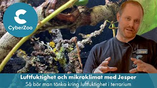 Luftfuktighet och mikroklimat med reptilveterinär Jesper [upl. by Alegnat]