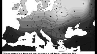 Blondism in Europe and USA [upl. by Pavla]