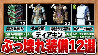 【ティアキン】使わなきゃ損！最強チート級のぶっ壊れ装備12選 [upl. by Aborn638]