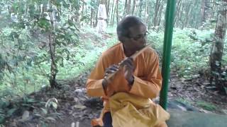 Flute Music Srilanka [upl. by Kilk]