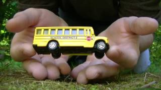 Shrunken Bus In My Hands [upl. by Nae]