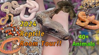 2024 Reptile Room Tour [upl. by Kelbee]