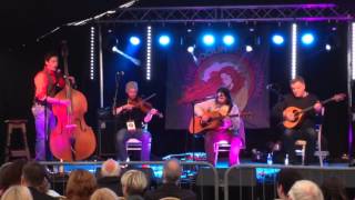 The Fiddle Case  Liscannor Bay  Doolin Folk Festival [upl. by Yewed]