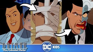 ORIGINS of Batmans Super Villains Part 1  Batman The Animated Series  dckids [upl. by Chao]