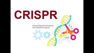 CRISPR  Clustered Regularly Interspaced Short Palindromic Repeats 2024 [upl. by Anwahsak]