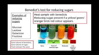 212 Biological Molecules r Determine the concentration of a substance using colorimetry [upl. by Madelle]