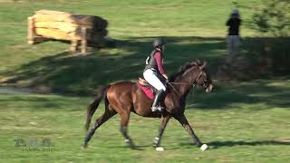 Hailey Carroll amp Golden Ticket Hagyard TeamChallenge 2024 [upl. by Ellimaj]