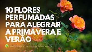 10 FLORES PERFUMADAS para ALEGRAR a PRIMAVERA e o VERÃO [upl. by Hudnut]