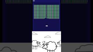 Please subscribe and share to let the sheep know who they are cute shorts प्यारा sheep memes [upl. by Notsnorb213]