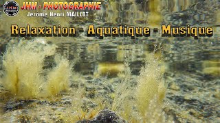 Relaxation  Aquatique  Musique  003 [upl. by Rhynd203]