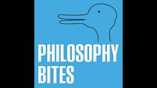 Raymond Geuss on Realism and Utopianism in Political Philosophy  Philosophy Bites 125 [upl. by Hailey]