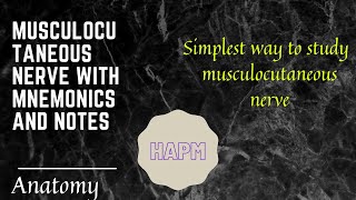 Musculocutaneous nerve with mnemonics and notes [upl. by Leunad912]