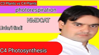 Photorespiration  C4 Photosynthesis  C3 vs C4 Plants  class 11  Dr Mushtaq lectures [upl. by Phyllida]