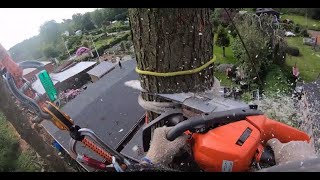 Best Quality POV arborist tree removal by certified Arborist GOPRO TREE WORK [upl. by Hak]