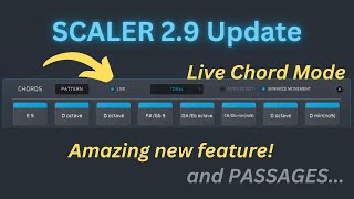 Scaler 29 New Update is GREAT [upl. by Garratt923]