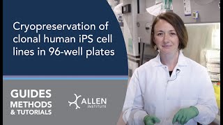 Allen Cell Methods Cryopreservation of clonal human iPS cell lines in 96well plates [upl. by Willtrude361]