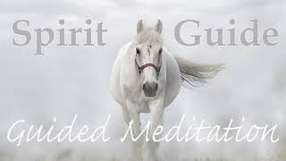 Connect amp Receive Guidance  Meet Your Spirit Guide  Guided Meditation [upl. by Shama]