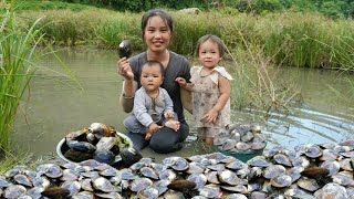 How to harvest giant oysters to sell at the market  cook oyster porridge for your children to eat [upl. by Jacklin92]