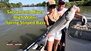 Sacramento River Spring Stripers [upl. by Monjo540]