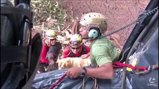 Bombeiro paraense de Tucuruí PA no resgate de sobreviventes e vítimas em Brumadinho MG [upl. by Grishilda]