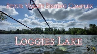 stour valley fishing complex loggies lake [upl. by Adleremse]