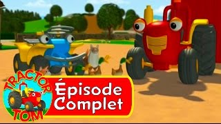 Tracteur Tom  52 Les Canards Sauvages épisode complet  Français [upl. by Atinele]