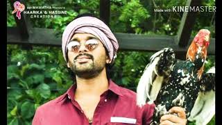 Sitharala sirapadu song lyrics translation in English from movie alavaikuntapuramlo [upl. by Yticilef]