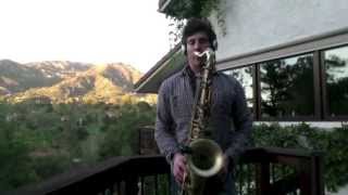 Titanium SiaGuetta Sax Cover [upl. by Millwater]