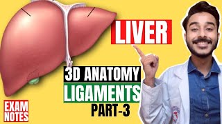 liver ligaments anatomy 3d  ligaments of liver anatomy in hindi  Johari MBBS [upl. by Elenaj]