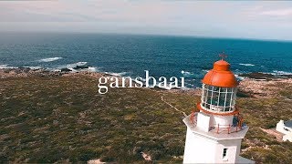 Vol II  GANSBAAI [upl. by Trescott]