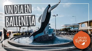 👉BALLENITA  ECUADOR SANTA ELENA 🐳 Un día en Ballenita 🇪🇨 [upl. by Hild]