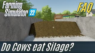 Do Cows eat Silage FS22 FAQ [upl. by Hawkie]