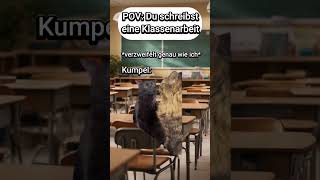 POV Du schreibst eine Klassenarbeit🤯 PART 2 katzenvideos katze lustig schule shorts katzen [upl. by Alokin]