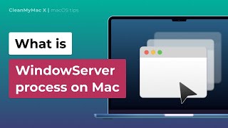 WindowServer Process on Mac Explained  Proven Mac Speed Up Tips [upl. by Eehc]