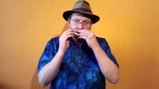 The 12hole SLIDE DIATONIC Harmonica  for Authentic Irish Playing [upl. by Naedan]