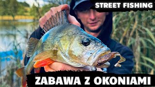 ZABAWA Z OKONIAMI PO PRACY  SPINNING ULTRALIGHT  STREET FISHING  RZEKA WARTA [upl. by Stevana]