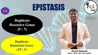 Genetics Duplicate Recessive and Duplicate Dominant Epistasis BScMSc SPPU Life Science [upl. by Nosreg]