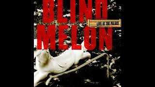 Blind Melon  Toes Across The Floor Live At Palace [upl. by Alwin]