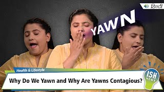 Why Do We Yawn and Why Are Yawns Contagious  ISH News [upl. by Hanauq]