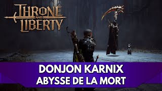 Throne and Liberty Gameplay FR  Lets Play  Donjon Karnix Abysse de la Mort [upl. by Mixie]