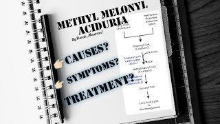 Methylmalonic Aciduria  Metabolic defect in Amino Acid metabolism  Biochemistry 📍 [upl. by Jacquelin113]