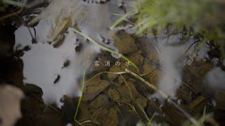 雪消の水  8K Short Movie  α7R V × FE 50mm F12 GM [upl. by Weingarten]