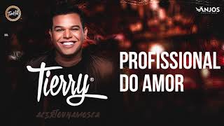 Tierry  Profissional do Amor [upl. by Utas]