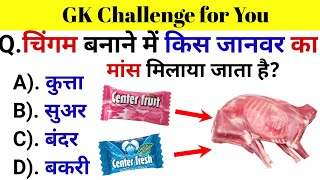 GK Questions  GK in Hindi  General Knowledge Questions and Answers  Gk Quiz  Gk ke Questions [upl. by Eduard]