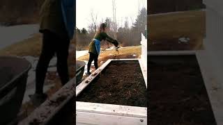 filling outdoor garden raised beds with straw composted manure and woodchips [upl. by Sherwynd914]