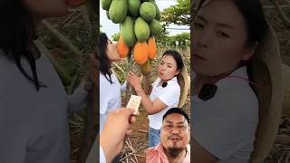 Organic papaya kha Raha Hain short fruit unit neutral 🤪 skin health fruit youtshort viral video [upl. by Desberg]